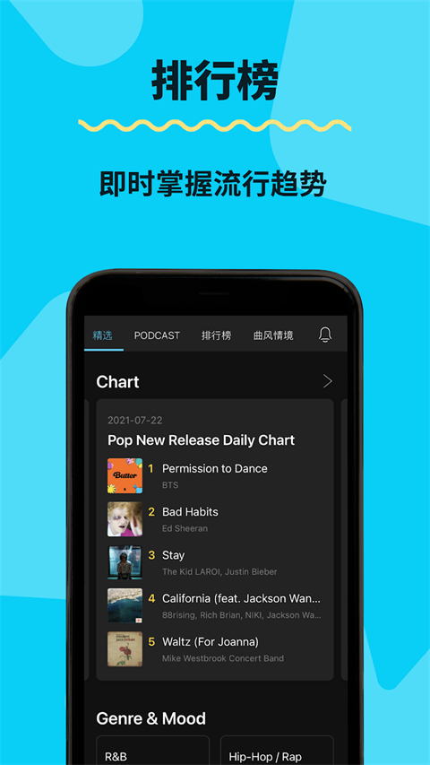 播放器界面